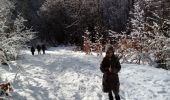 Tour Wandern La Chapelle-en-Vercors - Belvédère de Revoulat - Photo 7