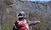 Tocht Stappen Sisteron - Bois de Buche depart Sisteron 417 + - Photo 4