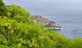 Trail Walking Anse-Bertrand - Guadeloupe - Pointe de la Petite Vigie à Pointe de la Grande Vigie - Photo 11