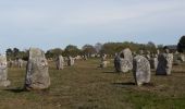 Excursión Bici de montaña La Trinité-sur-Mer - Trinité Sur Mer et la presqu'ile de Quiberon - Photo 5