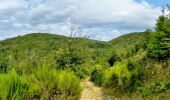 Trail Walking La Chabanne - périasse boucle 7 km - Photo 9