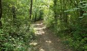 Tour Wandern Buno-Bonnevaux - Buno-Bonneveaux - Polissoir de Grimery - Photo 13