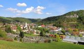 Randonnée A pied Gemeinde Lichtenegg - Rundwanderweg D10: Teufelsteinweg (Kirchschlag in der Bucklingen Welt) - Photo 2