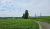 Tocht Stappen Blegny - GR5 - BLEGNY -> FRAIPONT  - Photo 12