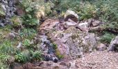 Trail Walking Borne - Station Croix de Bauzon - Photo 2