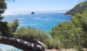 Trail Walking La Seyne-sur-Mer - Fabregas, parking des bœufs, plage des nudistes, notre dans de mai - Photo 3