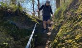 Trail Walking Bertrix - More et pire - Mortehan - Photo 9