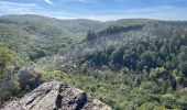 Trail Walking Saint-Philbert-sur-Orne - Roche d’oëtre sentier du Granite - Photo 9