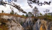 Excursión Senderismo Viroinval - Promenade vers le Fondry des chiens  - Photo 8