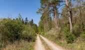 Randonnée A pied Beverungen - B11 - Über den Rotsberg - Photo 10