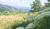 Randonnée Vélo électrique Vialas - TOUR DU MONT LOZERE - Photo 4