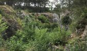 Trail Walking Viroinval - Viroinval - Photo 1