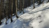 Randonnée Marche La Bresse - col de bramont - Photo 2