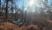 Randonnée A pied Fontainebleau - Fontainebleau entre Foret et Tourisme - Photo 12