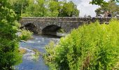 Tour Wandern Kenmare Municipal District - Glencar - Glengeigh - Photo 2