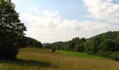 Percorso A piedi Szendehely - Nőtincs-Gyadai rét turistaút - Photo 3