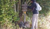 Trail Walking Avesnes-sur-Helpe - Camp de Cesar balisage automne 2022 - Photo 6