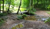 Trail Walking Manhay - 2021-06-30_10h25m20_Cirkwi-PLANTISSE_(Commune_de_MANHAY) - Photo 4