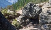 Excursión Senderismo Chamonix-Mont-Blanc - Montroc,Les 4 vents par les echelles d'Argentiere,Les Tines - Photo 10