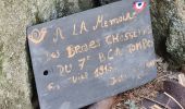 Percorso Marcia Metzeral - Petit-Ballon via Col du Hilsenfirst - Photo 2