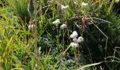 Tour Wandern Val-Cenis - plan Dulac 2020 - Photo 1