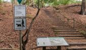 Tour Zu Fuß Haltern am See - Seehof Rundweg A4 - Photo 4