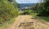 Tocht Stappen Comblain-au-Pont - Pont de Scay 20 Km  - Photo 11