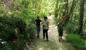 Trail Walking Claveyson - Le bois de Suze - Photo 3