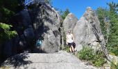 Tocht Stappen Le Bonhomme - Circuit de la Tête des Faux - Photo 11