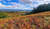 Randonnée Marche Chiroubles - Itinérant Beaujolais rouge étape 5 Chiroubles- Foretal - Photo 1