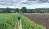 Trail Walking Aarschot - Gelrode -Arschot - Photo 1