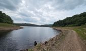 Trail Walking Jalhay - Tour du lac de la Gileppe  - Photo 13