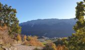Percorso A piedi Tione degli Abruzzi - Pagliare di Tione - Lago di Tempra - Photo 9