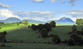 Tocht Stappen La Chapelle-Agnon - Chapelle_Agnon_Pierre_Blanche - Photo 1