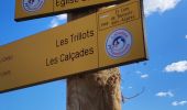 Tour Wandern Banyuls-dels-Aspres - banyuls des aspres - Photo 17