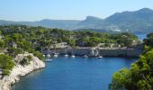 Tocht Stappen Cassis -  3 Calanques 8/01/25 - Photo 5