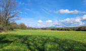 Trail Walking Rochefort - rando belvaux 28-04-2023 - Photo 2