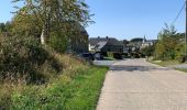 Tour Wandern Saint-Hubert - Mirwart redu  - Photo 1