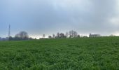 Trail Walking Oudenaarde - Ename 13,5 km - Photo 6
