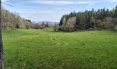 Trail Walking Saint-Maurice-de-Lignon - 43-st-maurice-lignon-passerelle-17km-515m - Photo 3