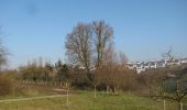 Tour Zu Fuß Idstein - Rund um den Hexenturm - Photo 5