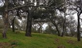 Tour Wandern Les Adrets-de-l'Estérel - St Cassien - Photo 3