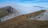 Randonnée Marche Gresse-en-Vercors - Pierre Blanche et Roche Rousse - Photo 10