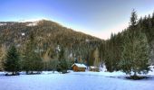 Tour Zu Fuß Peio - (SI C02) Pejo - Malga Ponte Vecchio - Malga Verdignana - Passo Cercena - Malga Cercena Alta - Malga Cercena Bassa - Bagni di Rabbi - Photo 8