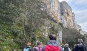 Trail  Lioux - Falaise de la madeleine  - Photo 12
