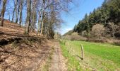 Trail Walking Burg-Reuland - rando burg reuland 18-04-2023 - Photo 12