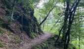 Excursión Senderismo Bourscheid - Escapardenne Lee Trail: Moulin de Bourscheid - Hoscheid - Photo 4