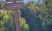 Tour Wandern Caussols - Caussol le 15/05 - Photo 12