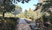 Trail Other activity Unknown - Jardin botanique de Jeonju  - Photo 7