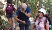 Excursión Senderismo Le Valtin - Route des Roches. Schlucht-Hohneck - Photo 4